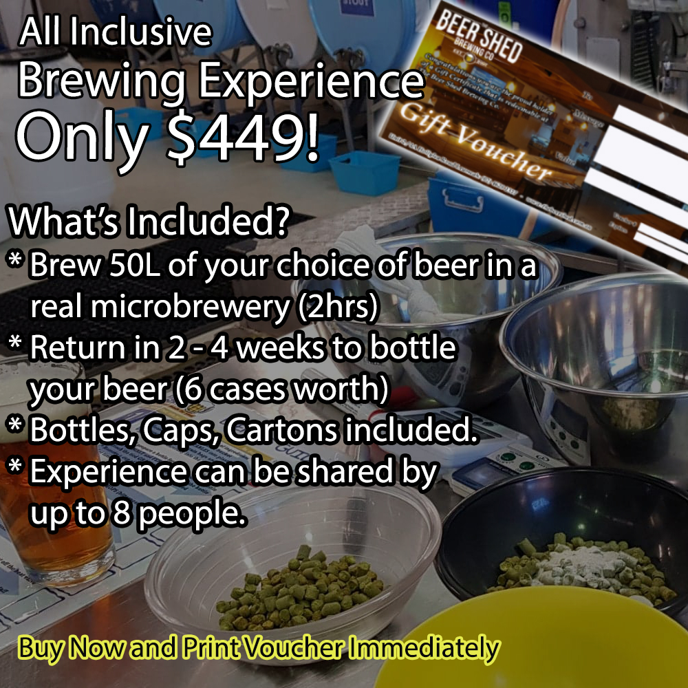 brew experience 449 copy